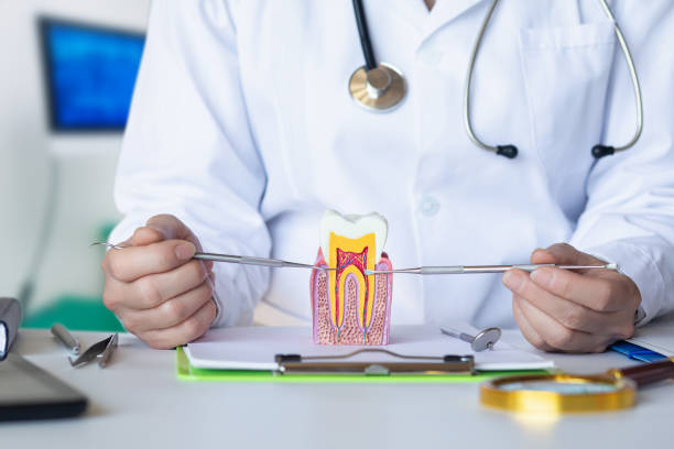 Best Emergency Dentist Near Me  in Swansboro, NC